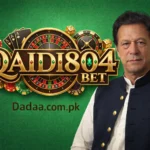 Qaidi804 bet